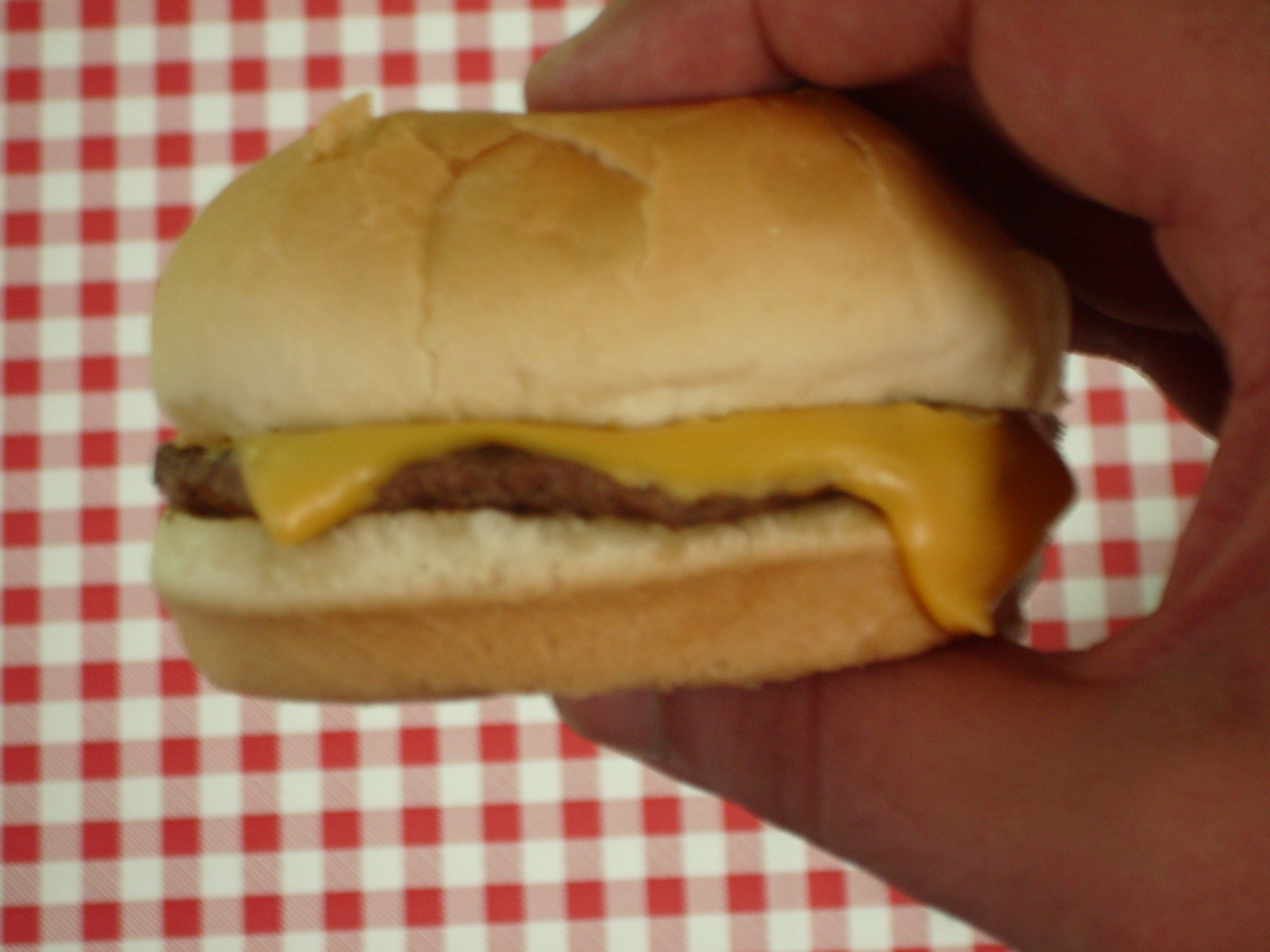 cheeseburger.JPG
