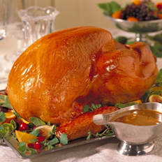 turkey_thanksgiving.jpg
