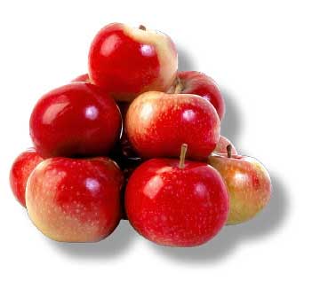 apples-picture.jpg