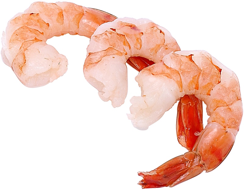 shrimp.jpg