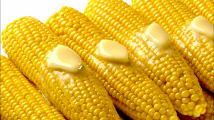 Corn-on-the-Cob.jpg