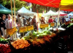 Farmer's Market