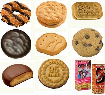 Girl Scout Cookie Sales: Secrets From the Top Sellers