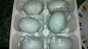 preserved-duck-eggs
