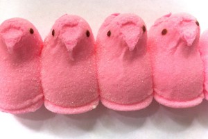 peeps-bubble-gum