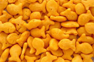 Goldfish-Crackers