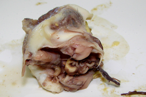 balut-food