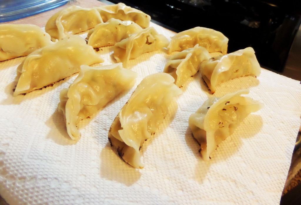 paper-towel-with-gyoza