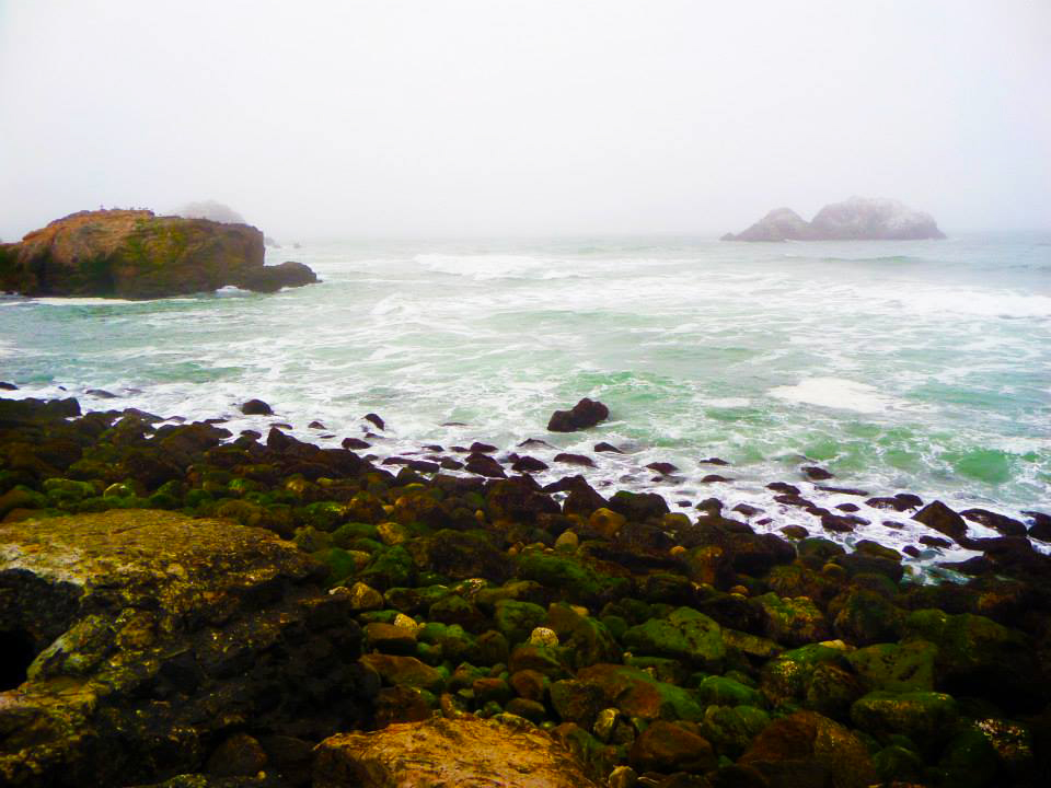 ocean-beach-san-fransisco