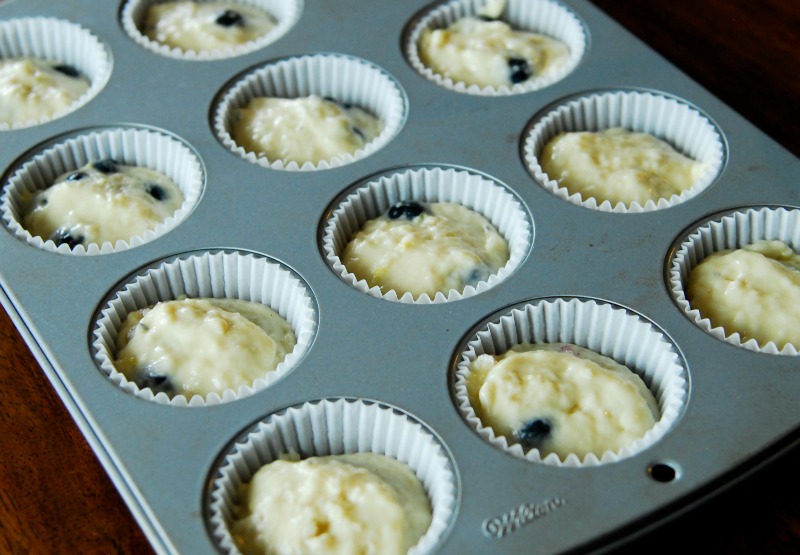 blueberry-lavendar-muffins-scooped