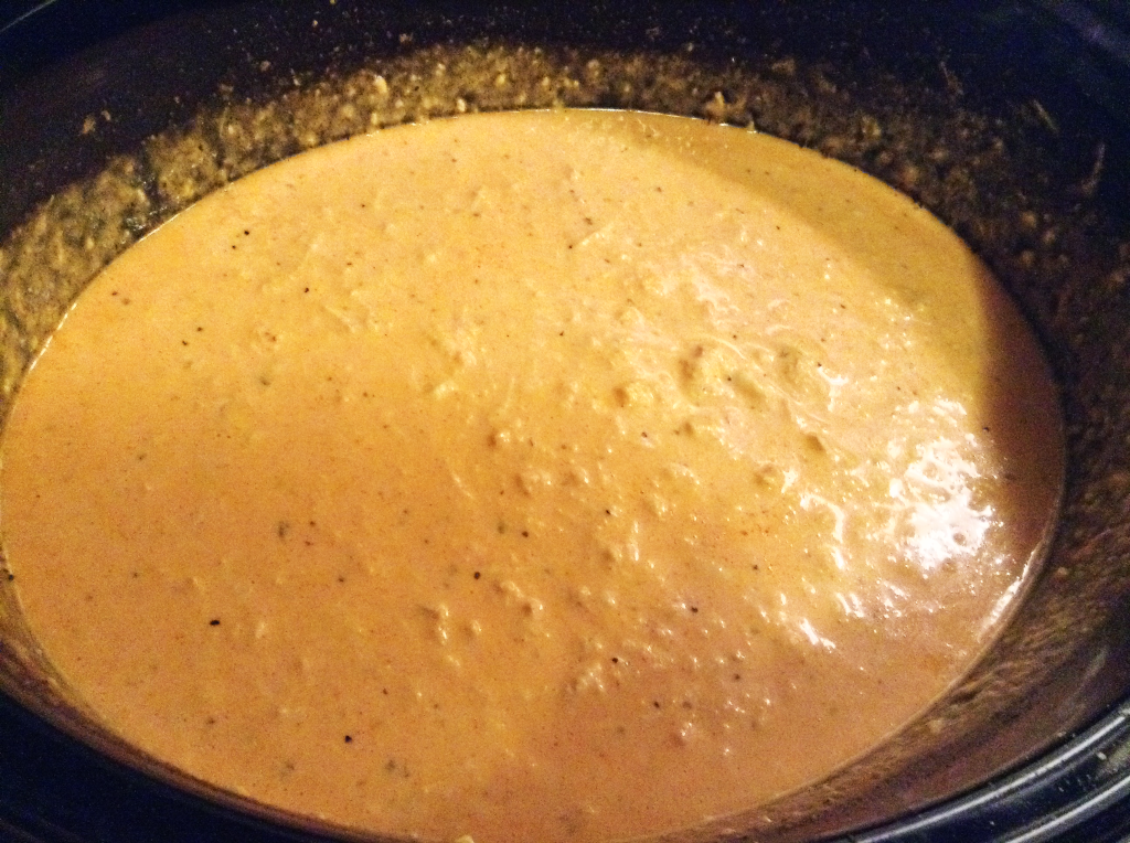 Crock Pot Buffalo Chicken Dip after cooking
