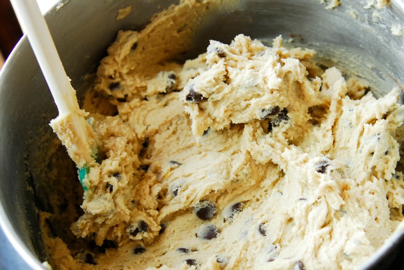 Mixed Chocolate Chip Cookie Dough