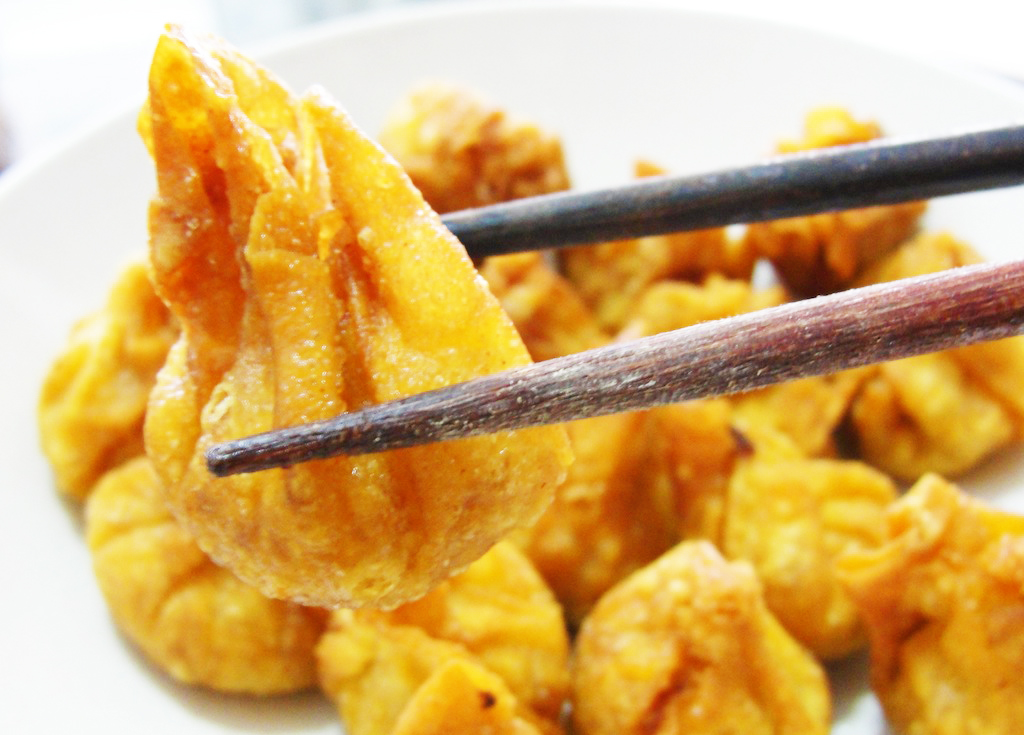 Easy Deep Fried Pork Chinese Wonton Recipe - So Good