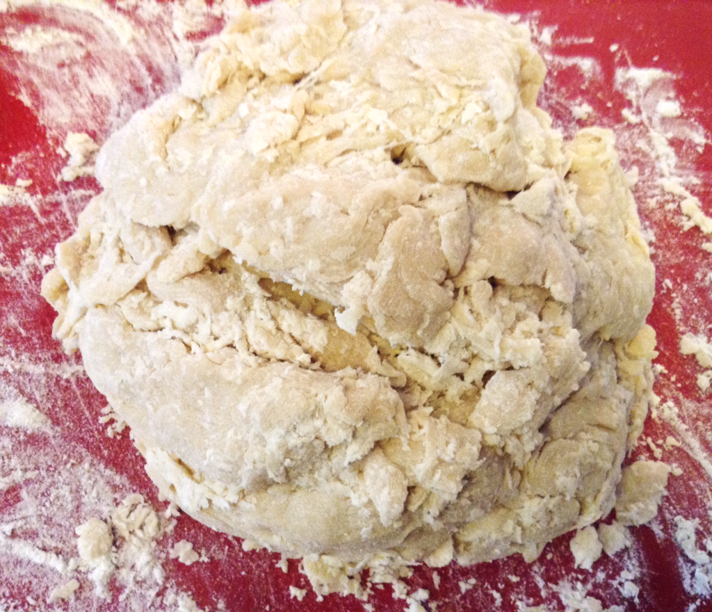 Texas Roadhouse Rolls after light kneading