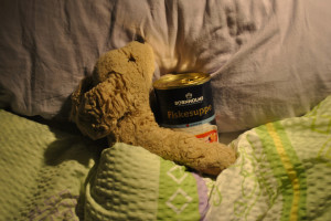 teddy-bear-holding-soup