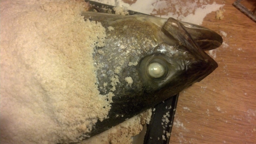 I Try It So You Don't Have To Fish Eyeball So Good Blog