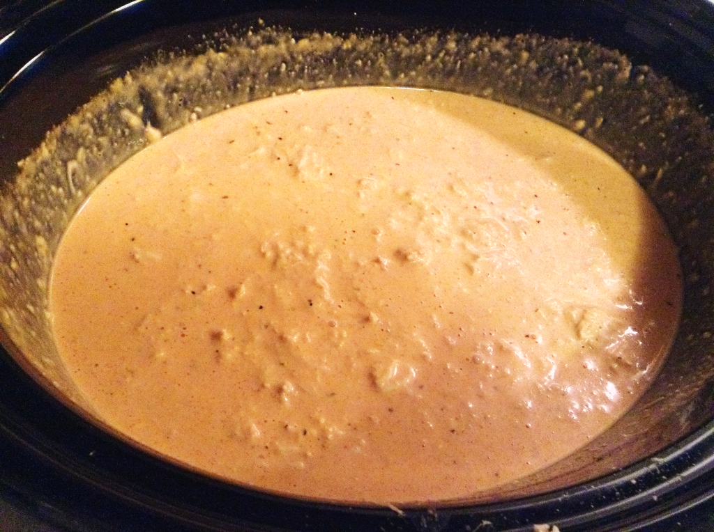Crock Pot Buffalo Chicken Dip all other ingredients added